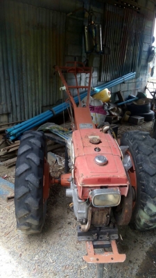 ขายคุบเดินตาม