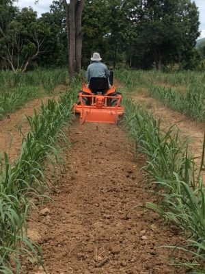 Yanmar 17 แรง4WD  พร้อมชุดโรตารี่