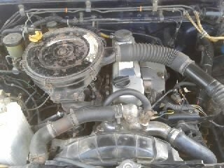 ขายนิกสันบิ๊กเอ็ม ราคาเข้าไร่คับ