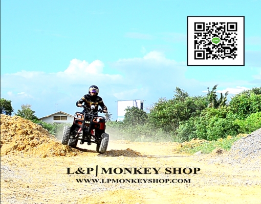 เอทีวี BIG BEAR 125 รุ่น UPGRADE ใหม่ล่าสุด คุ้มสุดๆราคาเริ่มต้น ที่ 45500