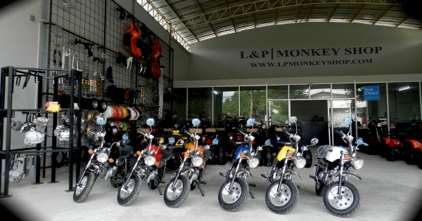 !!! จัดโปรโมชั่น มังกี้ กอลิล่าเดิม ลดราคา มังกี้ อะไหล่ลด 40 \% ลดราคา ราคา เริ่มต้นที่....... ราคา โรงงาน ถูกกว่า ท้องตลาด.