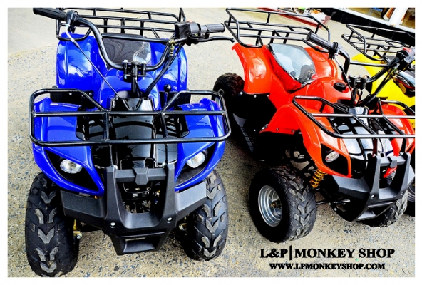 ลดราคาพิเศษ ❤ ｡◕‿◕｡**ATV mini  bear** เปลีนใหม่ ใส่เครือง 125cc โปรโมชั่นพิเศษ ลดราคาถูกมากๆๆ เริ่มต้าที่...  มีของแถม!!!รับประกัน1ปี