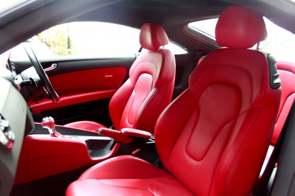 AUDI TTS 2010 AUDI TTS 2010