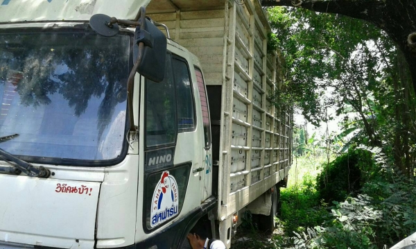 หกล้อ ฮีโน้ FF 3H195 แอร์ เวอร์ ทิฟฟี ค็อกสูง ช่วงยาว 7.20ม ยาง900 สภาพดีพร้อมใช้งาน ทะเบียนพร้อมโอน หกล้อ ฮีโน้ FF 3H195 แอร์ เวอร์ ทิฟฟี ค็อกสูง ช่วงยาว 7.20ม ยาง900 สภาพดีพร้อมใช้งาน ทะเบียนพร้อมโอน