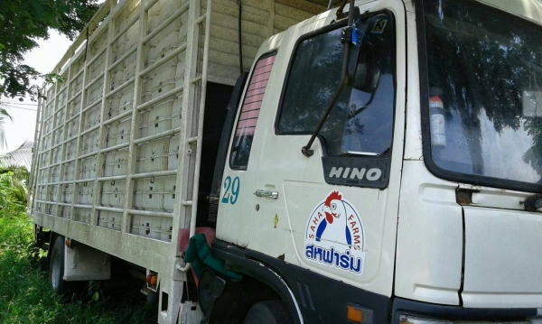 หกล้อ ฮีโน้ FF 3H195 แอร์ เวอร์ ทิฟฟี ค็อกสูง ช่วงยาว 7.20ม ยาง900 สภาพดีพร้อมใช้งาน ทะเบียนพร้อมโอน หกล้อ ฮีโน้ FF 3H195 แอร์ เวอร์ ทิฟฟี ค็อกสูง ช่วงยาว 7.20ม ยาง900 สภาพดีพร้อมใช้งาน ทะเบียนพร้อมโอน