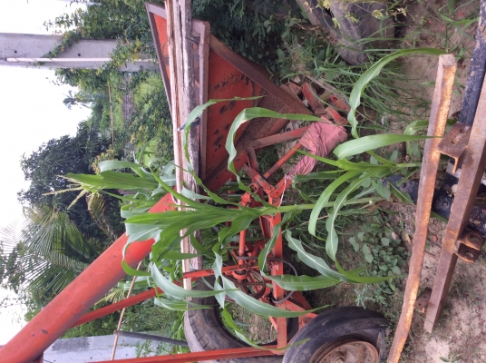 ขายครับ ไซโล ปั่นข้าว ข้าวโพด ขึ้ที่สูง