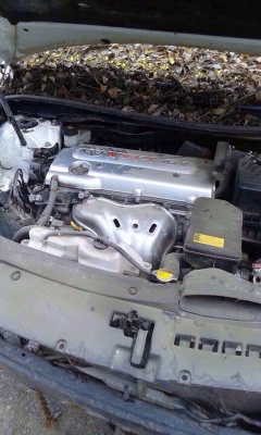 โตโยต้านิวส์คัมรี่โฉมปัจจุบัน เครื่อง2.0 ตัวท๊อปบุคคลโอนลอยๆเครื่องเกียรสวยเเละสมบูรณ์มากหรือเเยกขายอะไหลทั้งคันมีหลายรุ่นเก๋งเเละกระบะรับซื้อรถอุบัตเหตุทุกรุ่น โตโยต้านิวส์คัมรี่โฉมปัจจุบัน เครื่อง2.0 ตัวท๊อปบุคคลโอนลอยๆเครื่องเกียรสวยเเละสมบูรณ์มากหรือเเยกขายอะไหลทั้งคันมีหลายรุ่นเก๋งเเละกระบะรับซื้อรถอุบัตเหตุทุกรุ่น