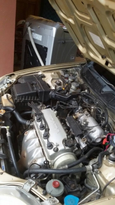 ขายHonda civic ปี43 เครื่อง 1600 cc 80000บาทเกียร์ธรรมดาไม่เคยติดแก๊ส 80000 บาท ขายHonda civic ปี43 เครื่อง 1600 cc 80000บาทเกียร์ธรรมดาไม่เคยติดแก๊ส 80000 บาท