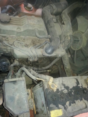 ขายด่วน