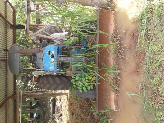 ขายครับ