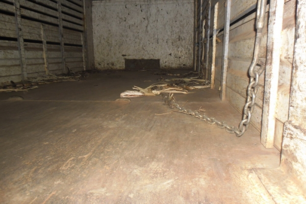 ขาย 6ล้อ ISUZU 145 เครื่อง6BB1 145แรง แห้งๆ ไม่ไอ ไม่หลวม เกียร์Rocky พ.พาวเวอร์ ช่วงล่างปึ๊ก ใหญ่ Fหน้า-หลัง คัสซีสวยไม่ผุ ไม่ดาม ยาง8.25 ดี 6เส้น กระบะเหล็กคอกเหล็กทั้งลูก ยาว4.3ม. ต่อใหม่ไม่นาน วางหัวNPR ภายในดี คอนโซลครบ หัวไม่ผุ เอกสารถูกต้อง พร้อมใช