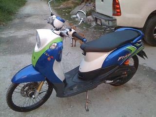 ฟิโน่ปี 55 เครื่่องเดิมแต่งสวยตามรูปมีเล่มโอนไ้ด้ราคา 19,900