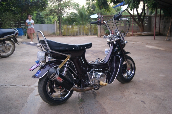 HOT ชาลี ทำมาสดๆ ร้อนๆ 29000 มีใบ ประกันเต็ม รับประกันความงาม ซุบทั้งคัน