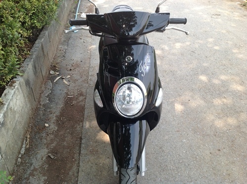 ขายfioreสีดำน้ำตาลปี2555