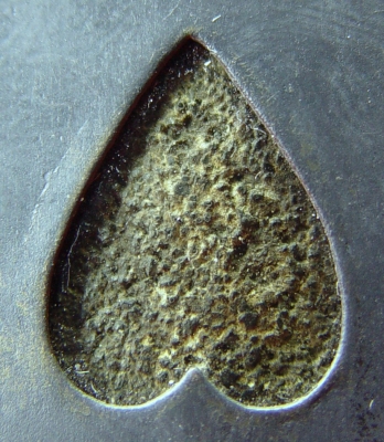 หลวงปู่ทวดมีจุดที่ไหล่ หลวงปู่ทวดมีจุดที่ไหล่