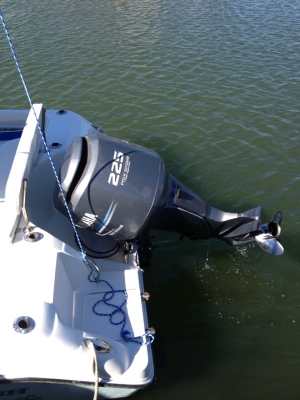 เรือตกปลา 24ฟุต  Sail Fish 234 Walkaround ปี2005