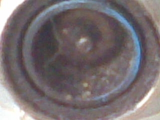 เทรนเลอร์