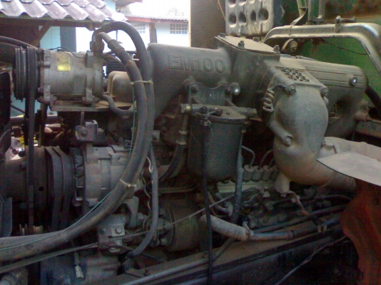 ขาย ซูโม่227 แท้ๆ คัทชีสวยๆ เบรคทิฟฟี่ หัวบางเดิม