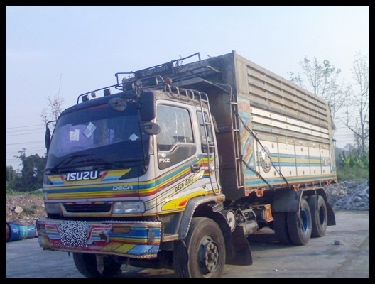 สิบล้อเดกก้า 270 ยูโรวัน แม่+ลูก ดั้มเกษตร