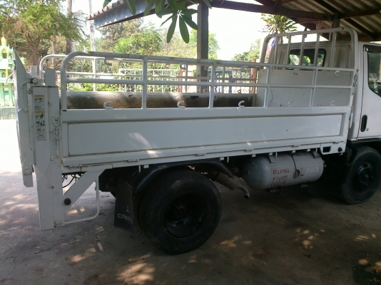 หกล้อแคนเตอร์กั๊ส LPG 100\% หกล้อแคนเตอร์กั๊ส LPG 100\%