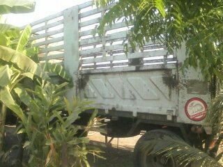 ขายด่วนรถ ISUZU FVM 32 195 นางฟ้า10ล้อ1เพลาพร้อมหางสามมิตรพ่วง2คานไม่ดั้ม