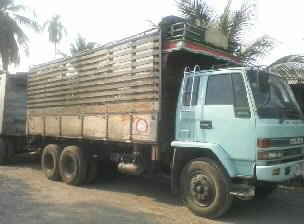 ขายด่วนรถ ISUZU FVM 32 195 นางฟ้า10ล้อ1เพลาพร้อมหางสามมิตรพ่วง2คานไม่ดั้ม