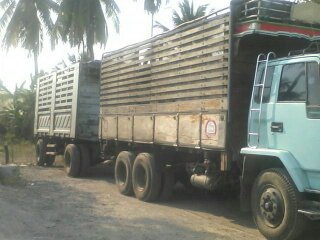 ขายด่วนรถ ISUZU FVM 32 195 นางฟ้า10ล้อ1เพลาพร้อมหางสามมิตรพ่วง2คานไม่ดั้ม