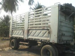 ขายด่วนรถ ISUZU FVM 32 195 นางฟ้า10ล้อ1เพลาพร้อมหางสามมิตรพ่วง2คานไม่ดั้ม