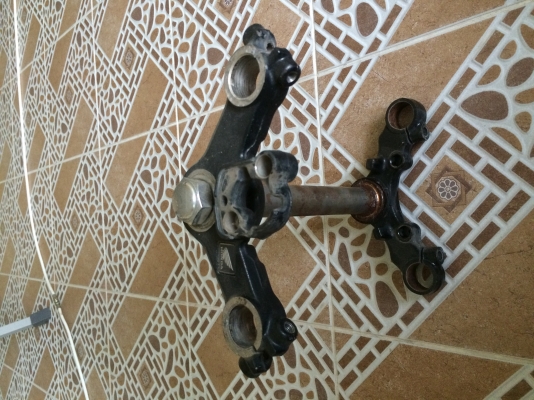 แผงคอโซนิคตัวใหม่