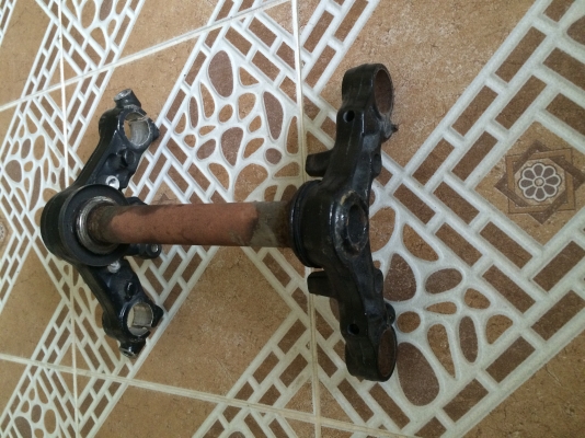 แผงคอโซนิคตัวใหม่