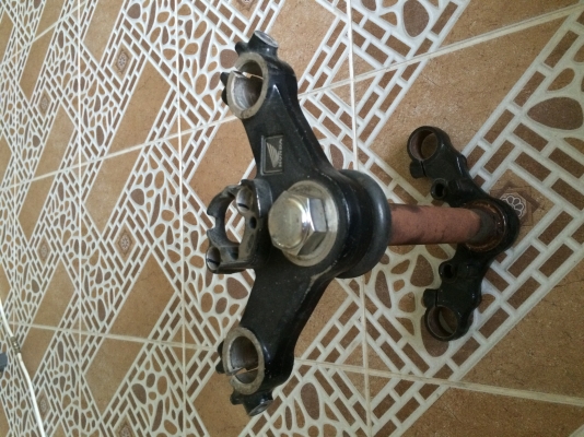 แผงคอโซนิคตัวใหม่