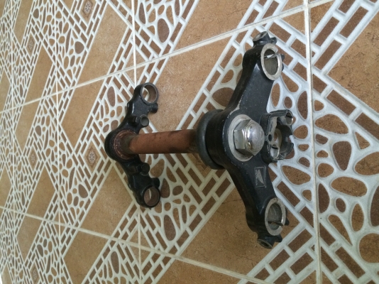 แผงคอโซนิคตัวใหม่