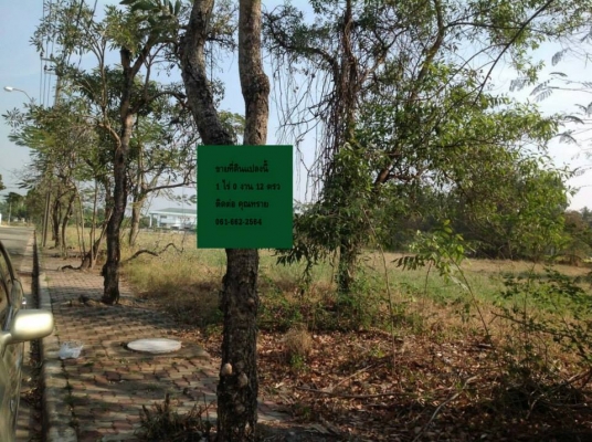 ขายที่ดิน ถนนบางนา-ตราด ใกล้สุวรรณภูมิ 1 ไร่ 12 ตร.ว. ขายเท่าราคาประเมิน