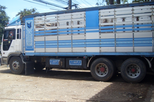 *ขายสิบล้อ HINO เพลาเดียว เครื่อง PII