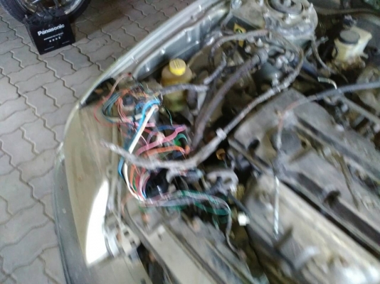 Ford Laser Ford Laser