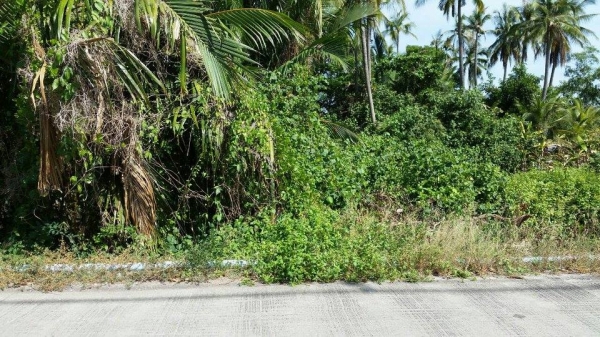 ขายที่ดินติดแม่น้ําท่าจีน 14 ไร่ 1งาน 20ตารางวา ต.บ้านเกาะ สมุทรสาคร