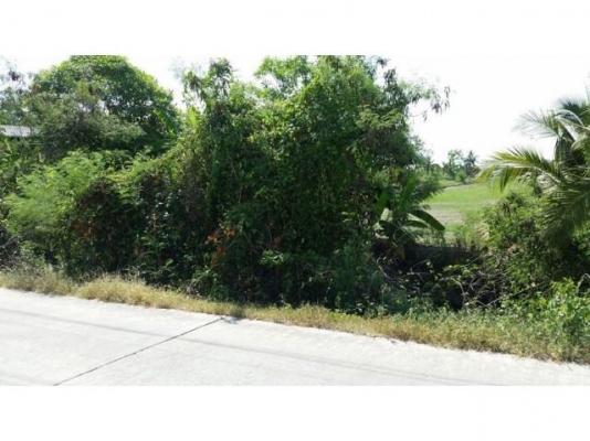 ขายที่ดินติดแม่น้ําท่าจีน 14 ไร่ 1งาน 20ตารางวา ต.บ้านเกาะ สมุทรสาคร ขายที่ดินติดแม่น้ําท่าจีน 14 ไร่ 1งาน 20ตารางวา ต.บ้านเกาะ สมุทรสาคร