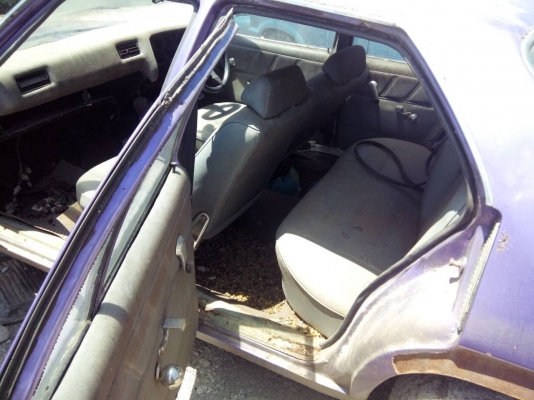 ขายโฮเด้น ตามสภาพ ราคา25,000บาท ขายโฮเด้น ตามสภาพ ราคา25,000บาท