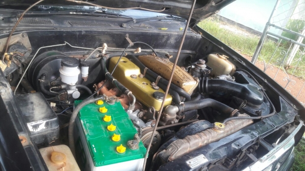 ขายรถกระบะตอนเดียว