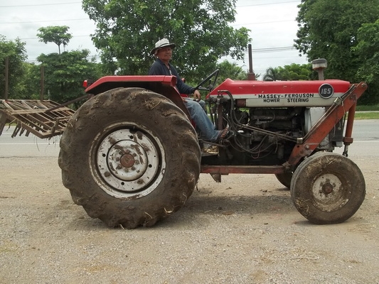 รถไถ แมสซี่ ด่วนนนนน สภาพสวย อยู่เพชรบูรณ์ 085 830 5253