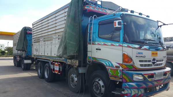 ขายรถพ่วง 24 ล้อ แม.ลูก กระบะเนียมคอกเกษตรดั้ม อู่.พิรุณ HINO 344 ปี.56 รถสวย ยางเต็ม วิ้งน้อย ราคา2900000 ต่อรอง