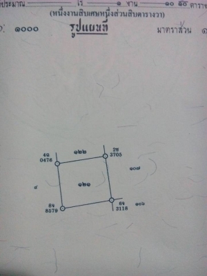 ขายที่ดินอยู่ด้านหลังวัดหัวกระบือ