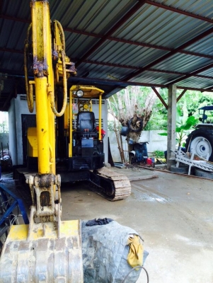 ขายแบคโฮ Yanmar PC50 สีเหลือง(เจ้าของขายเอง)