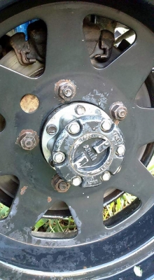 คาริเบียน สีสวยงาม คาริเบียน สีสวยงาม