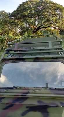 คาริเบียน สีสวยงาม คาริเบียน สีสวยงาม