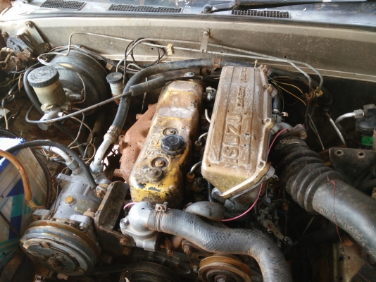 ขายมังกรทอง กระบะเลส พร้อมใ้ช้งาน