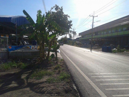 ขายบ้านเดี่ยว2ชั้น พร้อมที่ดิน