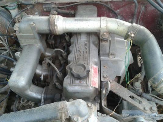 big M หัวเดียวเครื่องฝาแดง ขับได้เครื่องดีคัสซีสวย ขาย 37,000 บาท