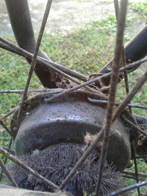 ขายรถจักรยานโบราณแบบผู้หญิงขอบ 28 นิ้ว