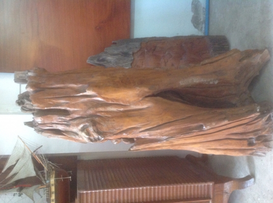 ขายไม้มงคล ไม้สักและไม้ตะคร้ำ(ทางเหนือเรียกไม้หวีด) ขาย 2 ชิ้นคู่กัน